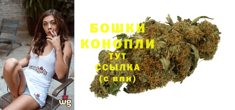 где продают   Коломна  Шишки марихуана VHQ 